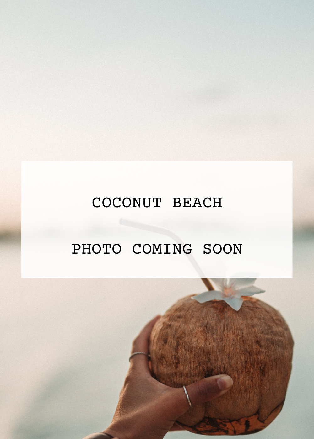 Coconut Beach