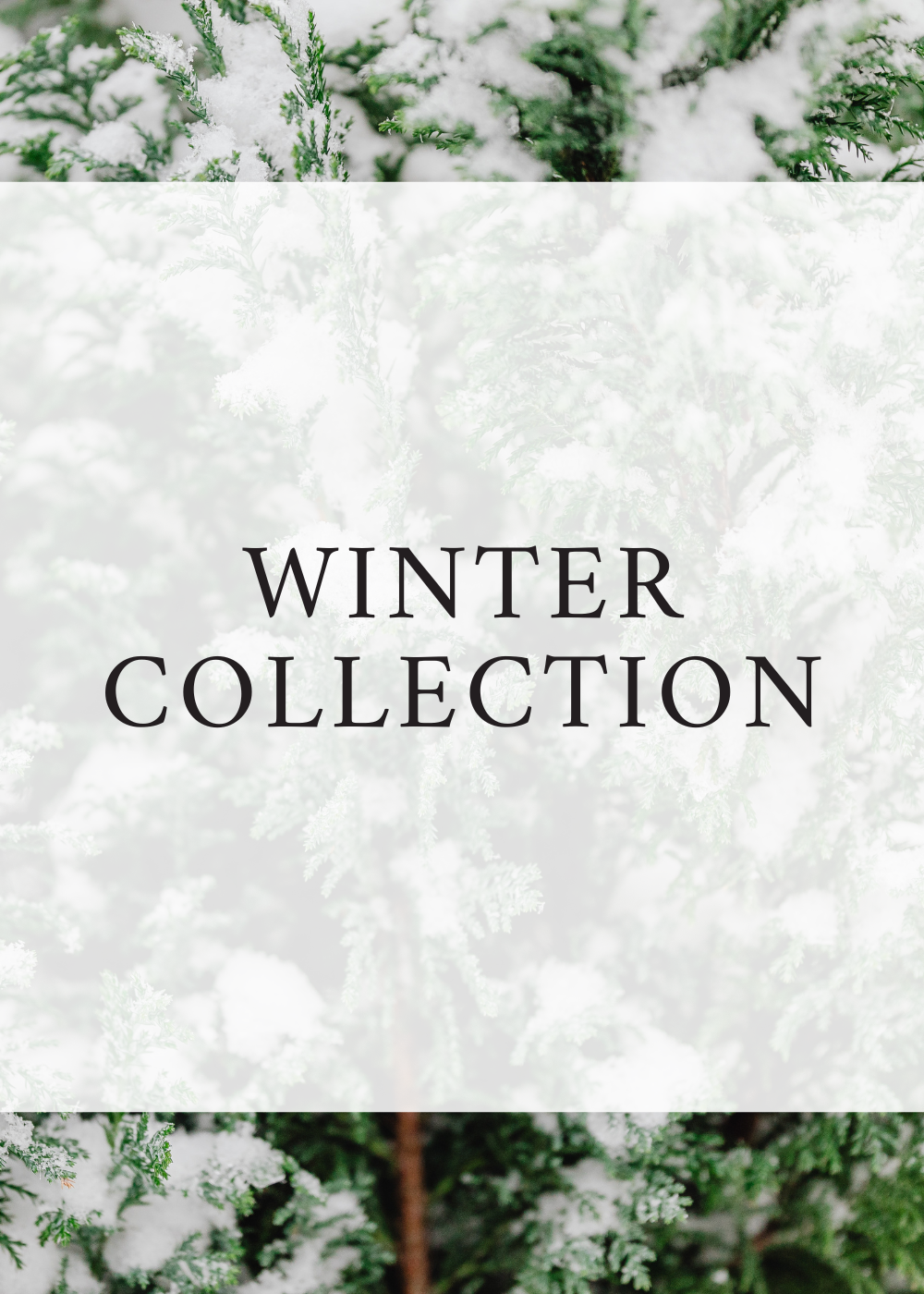 The Winter Collection