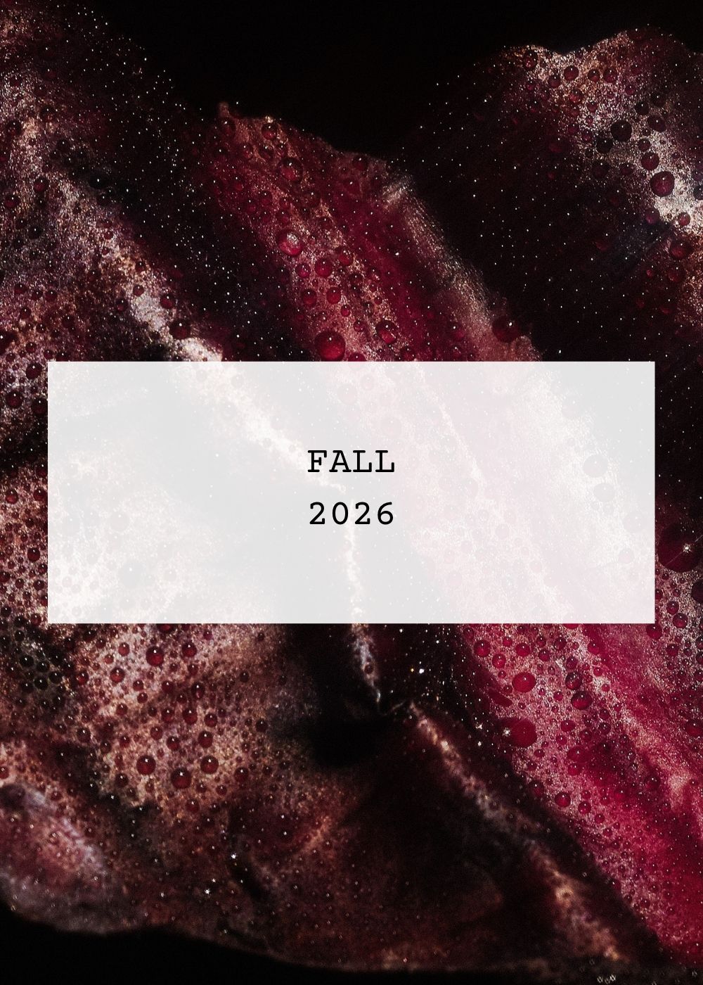 Fall 2026
