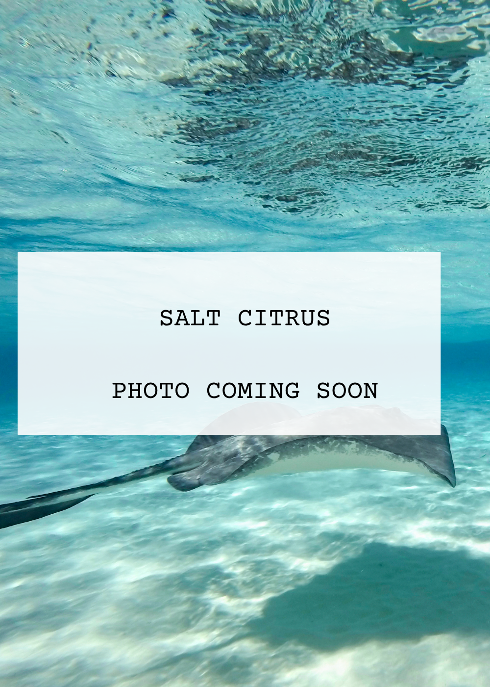 Salt Citrus