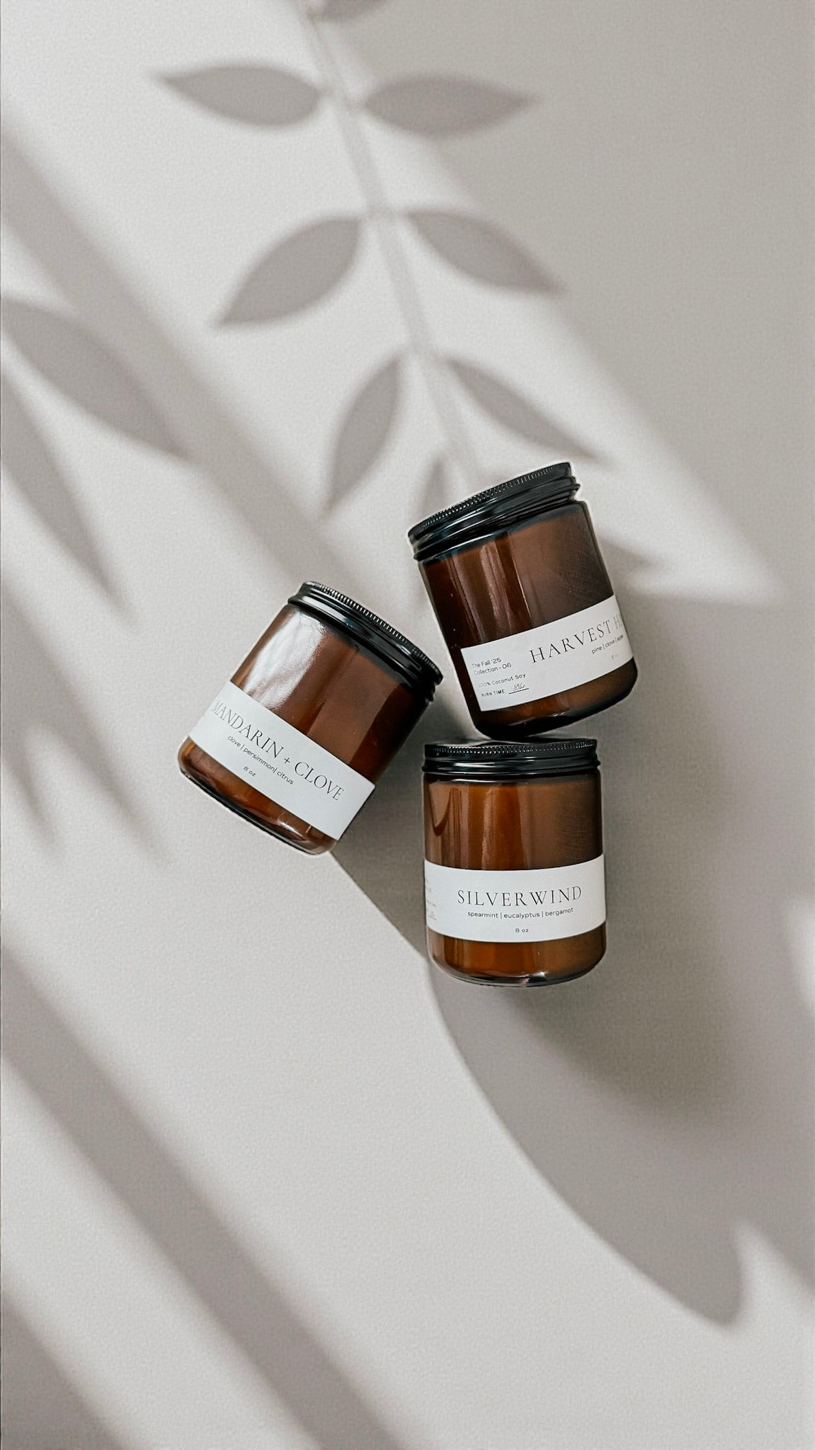 Mandarin + Clove